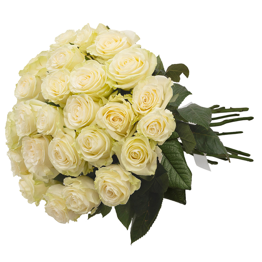Монобукет "21 троянда Мондіаль" – замовити з доставкою
