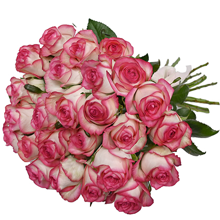 "21 roses Jumilia" bouquet – order with delivery