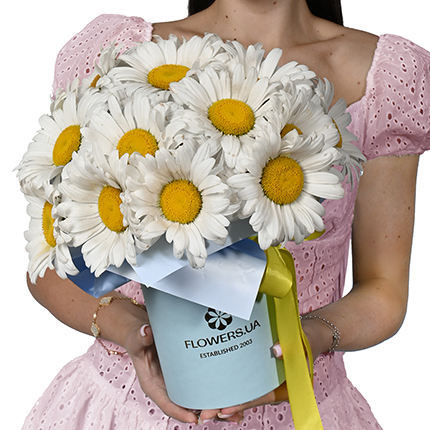 "19 sunny daisies" composition – delivery in Ukraine