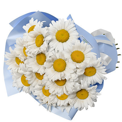 "19 daisies" bouquet – order with delivery
