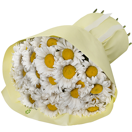 "25 daisies" bouquet – order with delivery