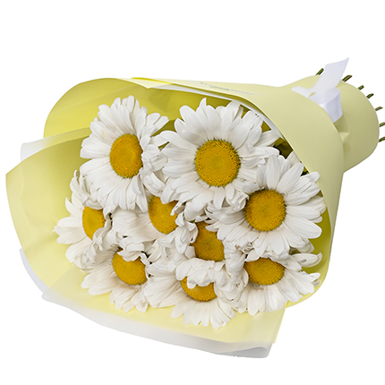 "9 daisies" bouquet – order with delivery