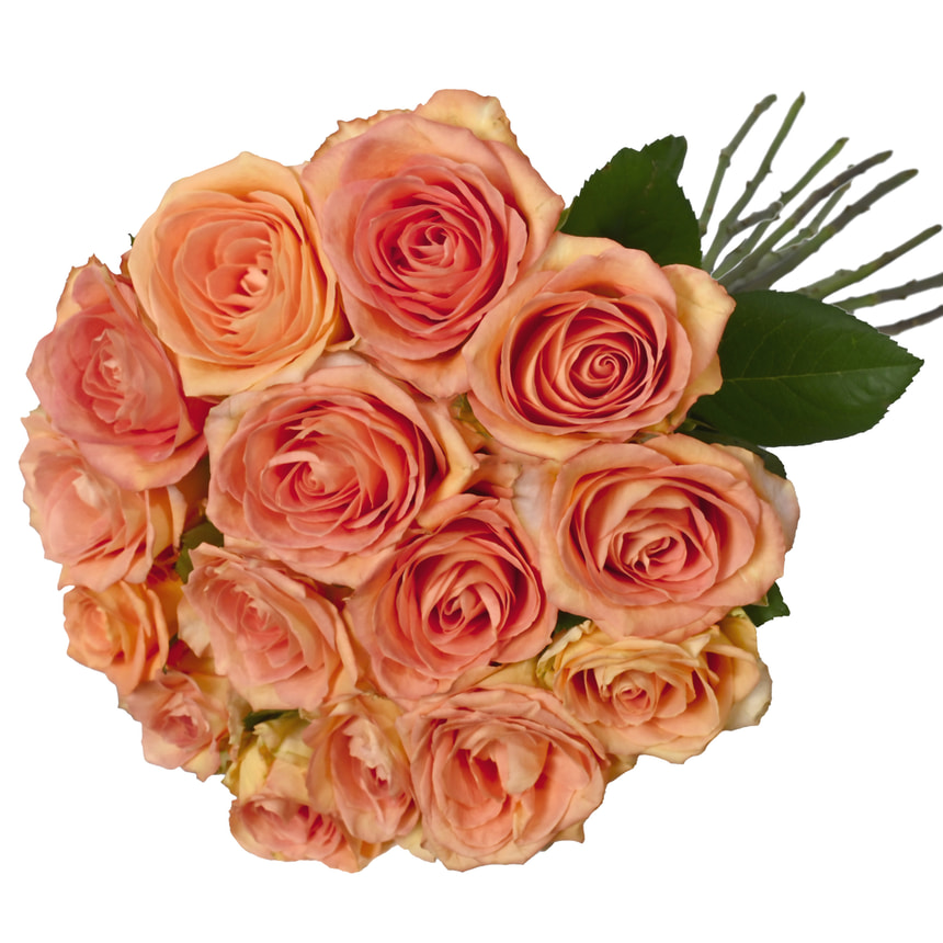 Bouquet "15 roses Mighty" – order with delivery