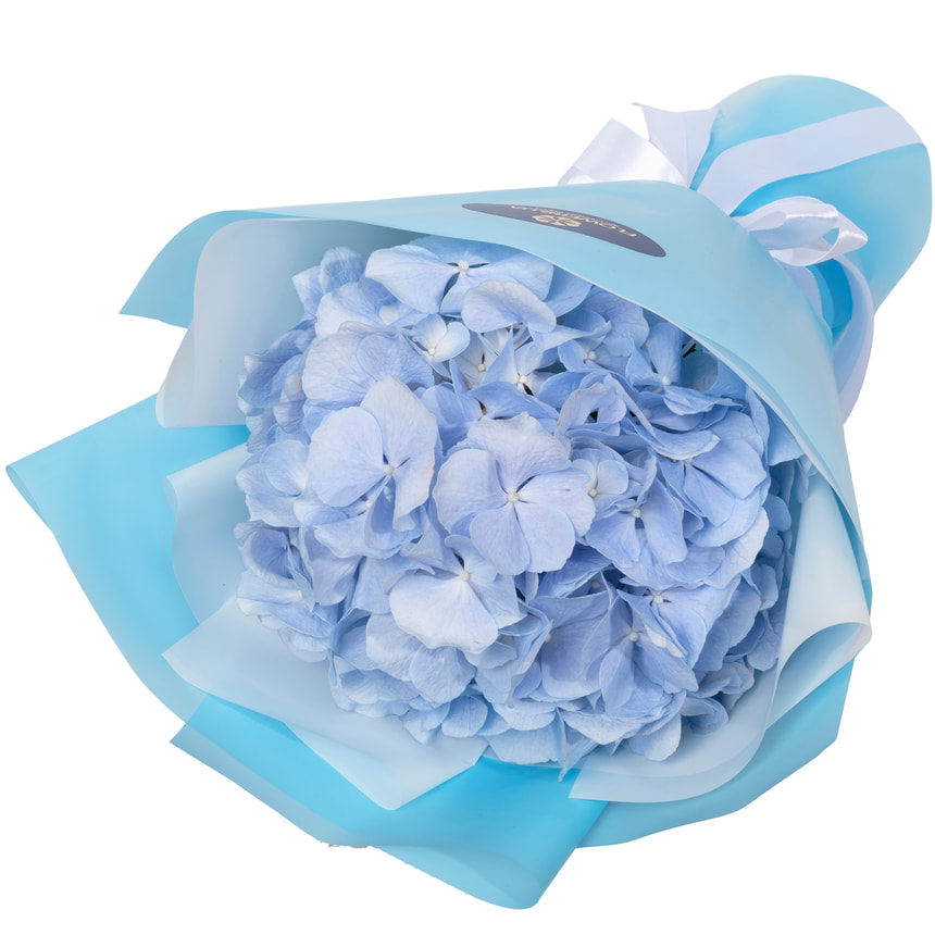 "Blueberry" bouquet – order with delivery