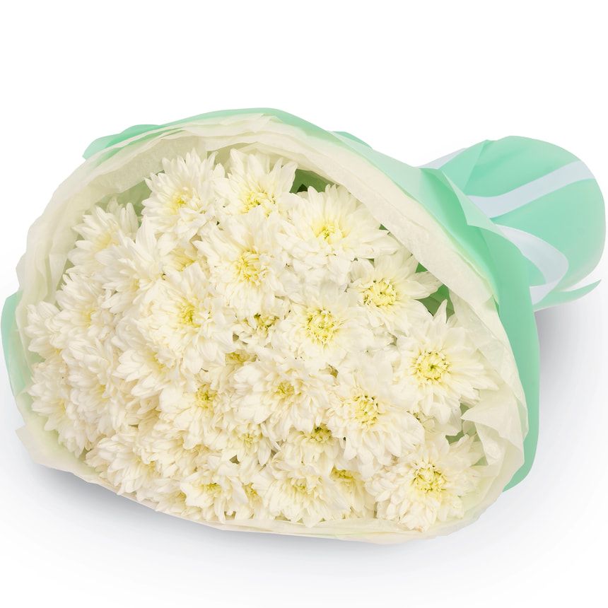 Букет "Kiku White" з 7 хризантем — замовити букет з доставкою в Київ, Львів, Одесу, Дніпро, Харків та по всій Україні - Flowers.ua