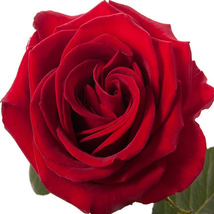 Букет із червоних троянд - замовити з доставкою