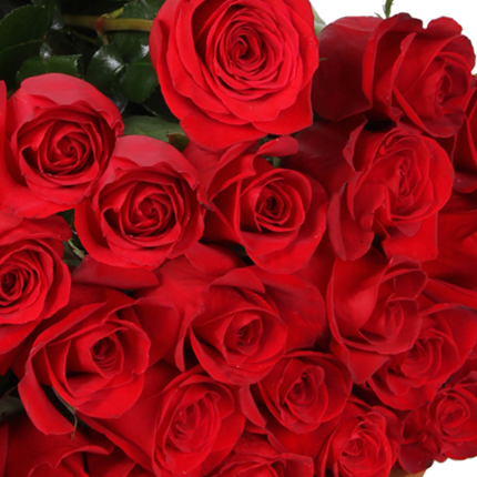 Гигантский букет роз – доставка по Украине