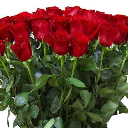 Giant bouquet of roses - order with delivery
