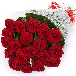 19  red Roses
