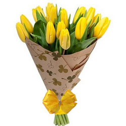 15 yellow tulips