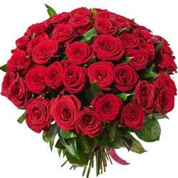 Special Offer! "51 red roses"