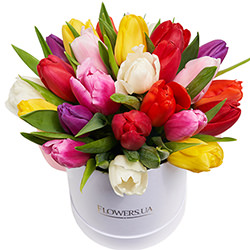 Цветы в коробке "25 разноцветных тюльпанов"