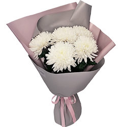 5 white chrysanthemums