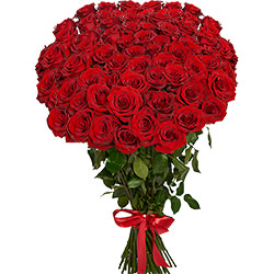 51 red roses one meter high