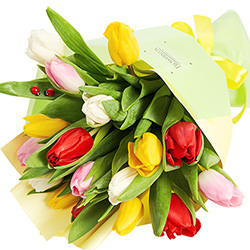 Bouquet "17 multi-colored tulips"