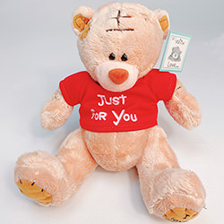 Soft toy "Teddy Bear" (boy) 20 sm
