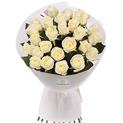Special Offer! "25 white roses"