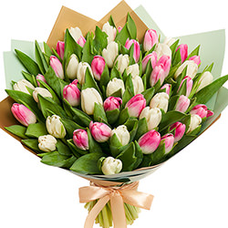Bouquet "51 white and pink tulips"
