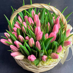 Basket of 45 pink tulips