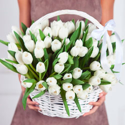 Кошик 75 білих тюльпанів