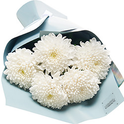 Bouquet "5 white chrysanthemums"