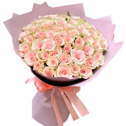 51 Pink Athena roses (Kenya)