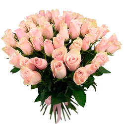 35 роз Pink Athena (Кения)