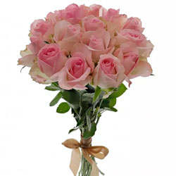 15 роз Avalanche Sorbet (Кения)
