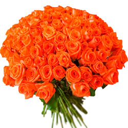 101 оранжевая роза (Кения)