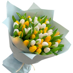Bouquet "51 white and yellow tulips"