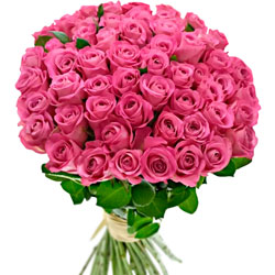 51 pink roses (Kenya)