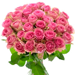 35 розовых роз Shiary (Кения)