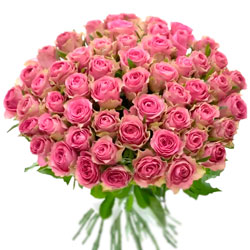 51 рожева троянда Shiary (Кенія)