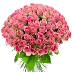 101 рожева троянда Shiary (Кенія)