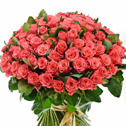 101 роза Pink Tacazzi (Кения)