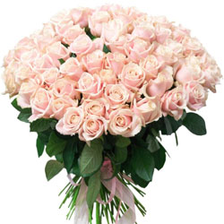 Bouquet "101 Kimberly roses"