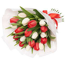 Bouquet "21 white and red tulips"