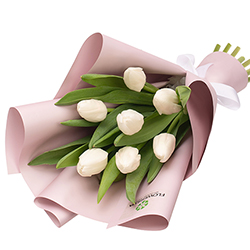 7 белых тюльпанов