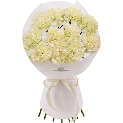 "Galatea" bouquet of 11 white carnations