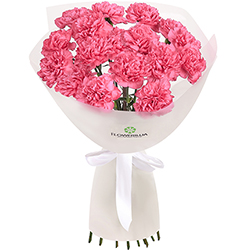"Flamingo" bouquet of 17 pink carnations