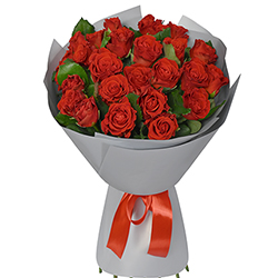 Монобукет "25 троянд El Toro"