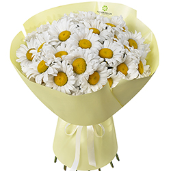 "25 daisies" bouquet