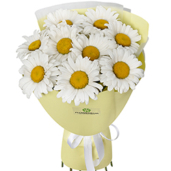 "9 daisies" bouquet