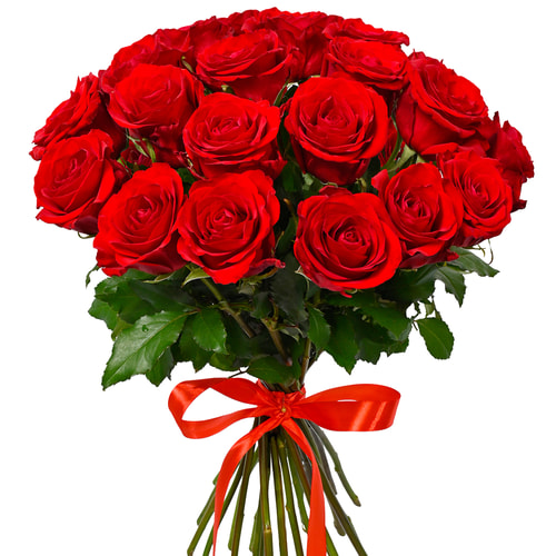 25 red roses 40 cm