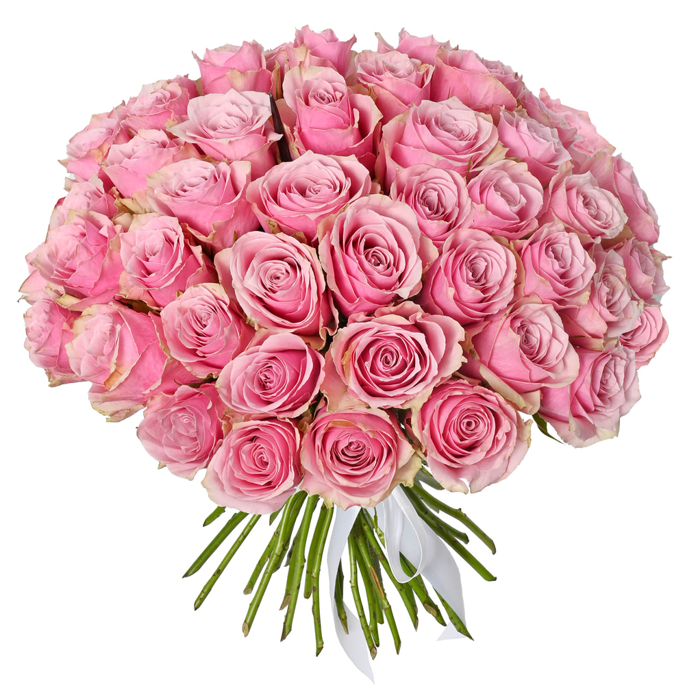 51 roses Athena Royale (Kenya) — order delivery to Ukraine. Buy Now ...